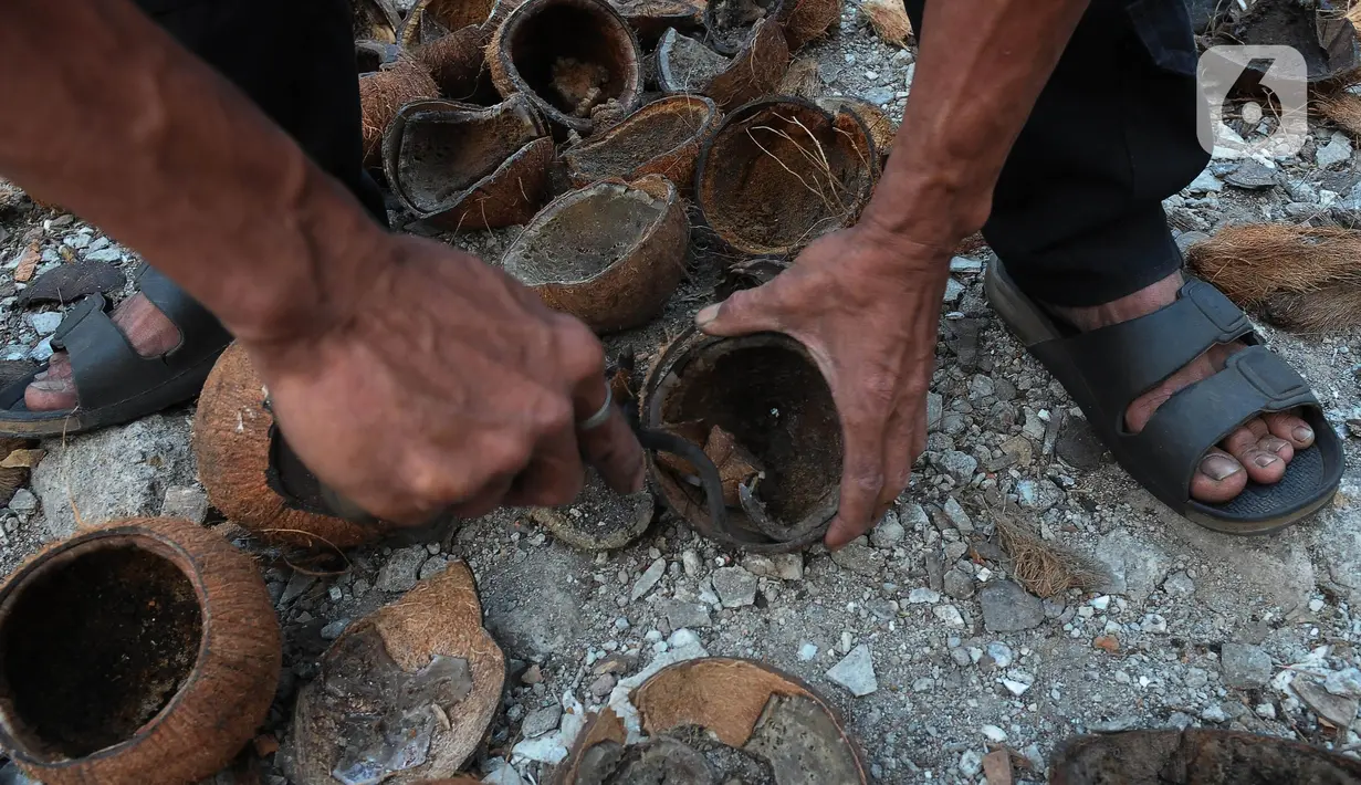 Sebanyak 8 lapak pembakaran arang batok kelapa dihentikan operasionalnya oleh Kementerian Lingkungan Hidup dan Kehutanan (KLHK) di mana untuk wilayah Jakarta Timur kualitas udara di kawasan itu tidak sehat. (merdeka.com/Imam Buhori)