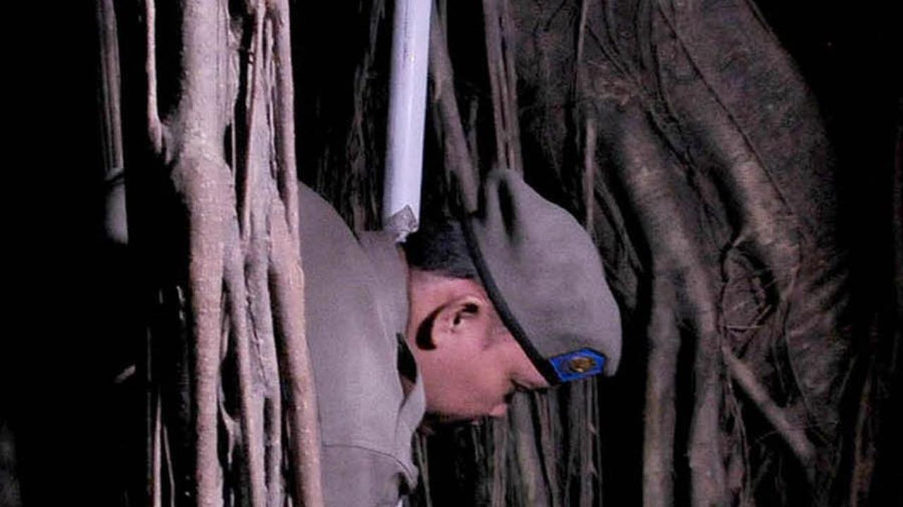 FOTO: Penampakan Hutan Kota UKI Cawang Diduga Jadi Sarang LGBT, Ditemukan Kondom Bekas Pakai