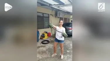 Seorang wanita menggunakan sarung tangan hulk untuk menangkap ular piton. Ular sepanjang 1,2 meter itu melingkar di pagar rumahnya.