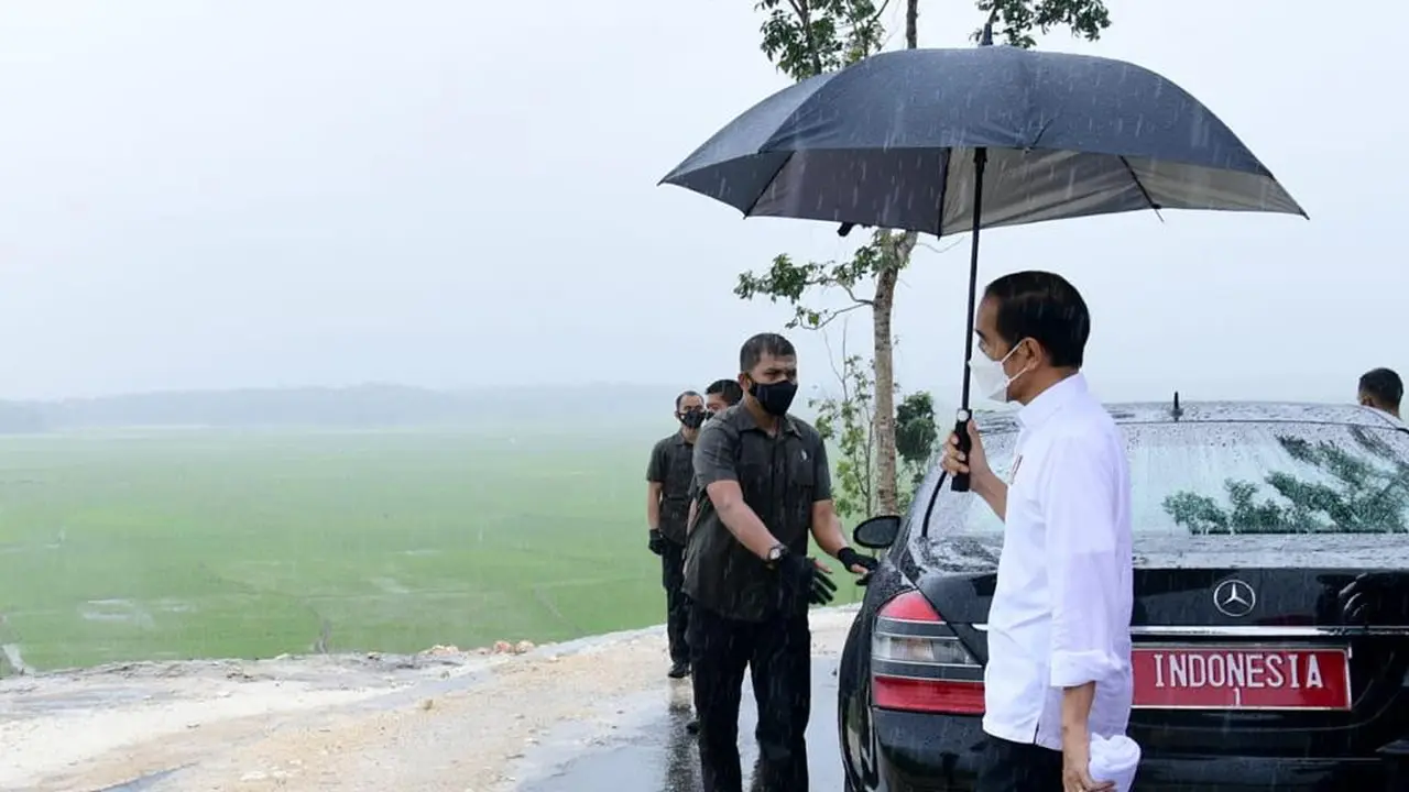 Presiden Jokowi saat meninjau kawasan food estate di Kabupaten Sumba Tengah, NTT.