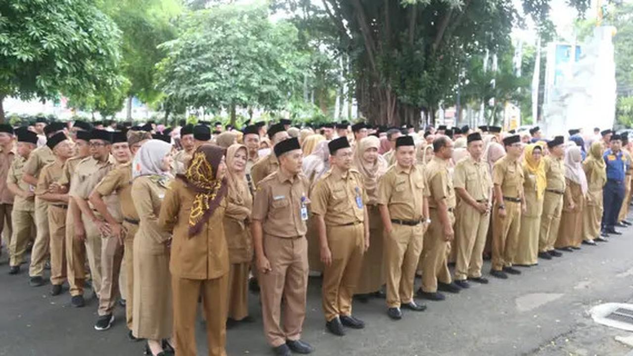 Tutorial Cek Hasil Seleksi Administrasi PPPK Tahap 2