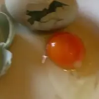 Unik! Sudah direbus, telur ini malah mengeluarkan telur lagi. (Via: youtube.com)