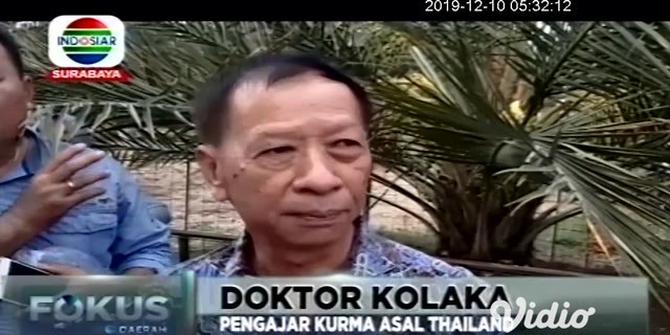 VIDEO: Kebun Kurma Sukorejo Jadi Sarana Penelitian