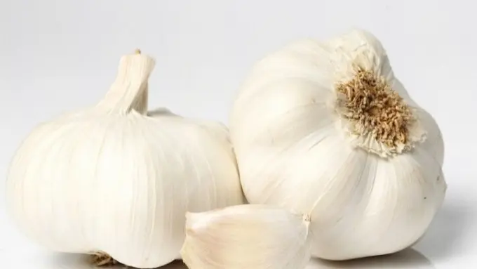 Bawang Putih (Sumber: freepik.com/Racool_studio)