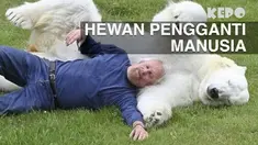 Walaupun tak memiliki akal dan pikiran, siapa sangka hewan-hewan ini bisa berlagak seperti layaknya manusia biasa.
