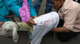 Seekor kambing yang dibawa pengacara Razman Arif Nasution bersama kliennya, Putri Stagi ke Polda Metro Jaya, Rabu (29/11). Putri Stagi diperiksa penyidik terkait kasus pencemaran nama baik yang diduga dilakukan Ferry Juan. (Liputan6.com/Nafiysul Qodar)