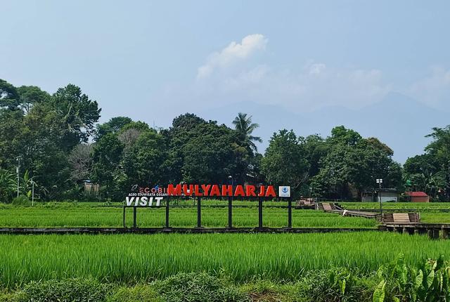 5. Wisata Persawahan Mulyaharja