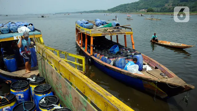Petani Ikan Waduk Cirata Menjerit karena Kenaikan Harga Pangan
