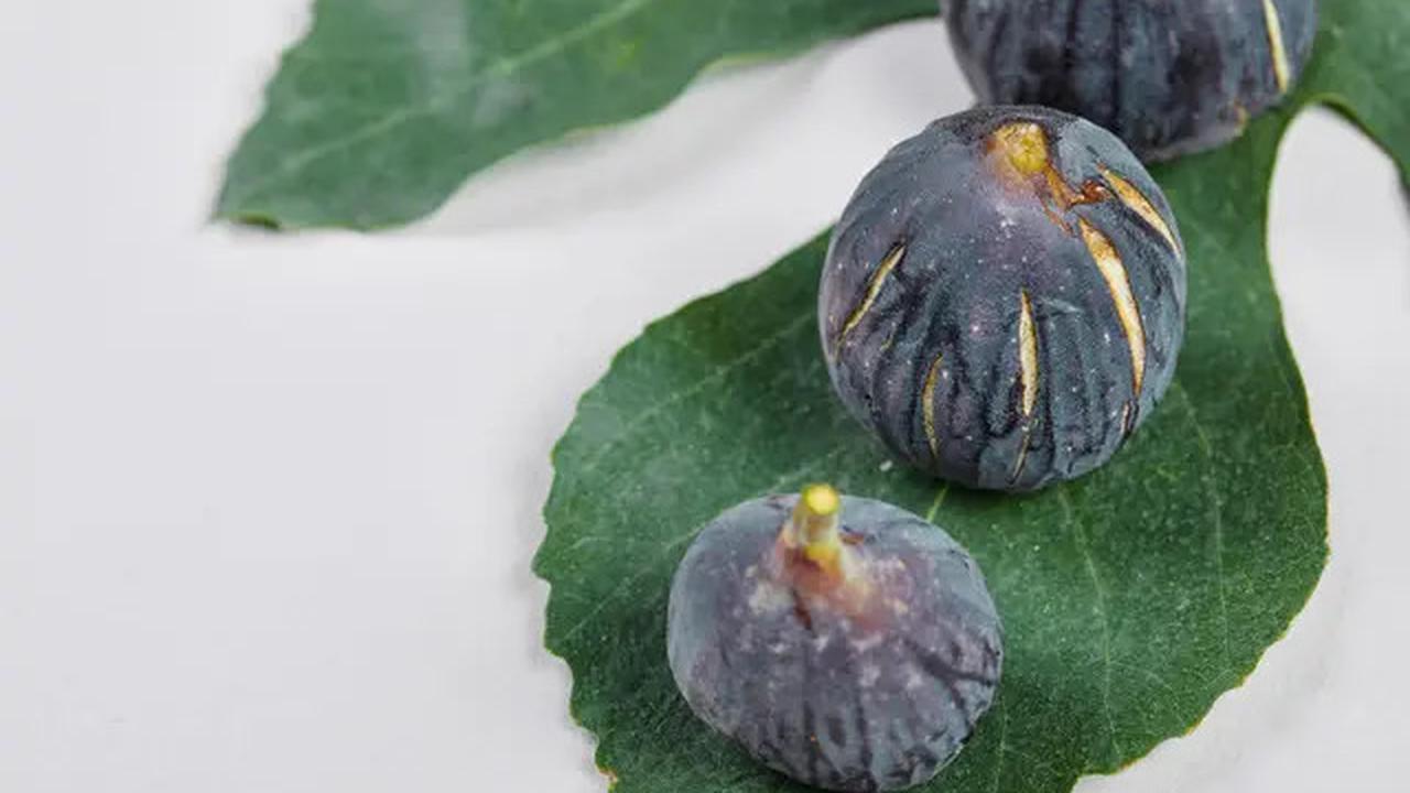 6 Tanaman Buah Berbentuk Mini yang Bisa Ditanam di Pot Teras Rumah
