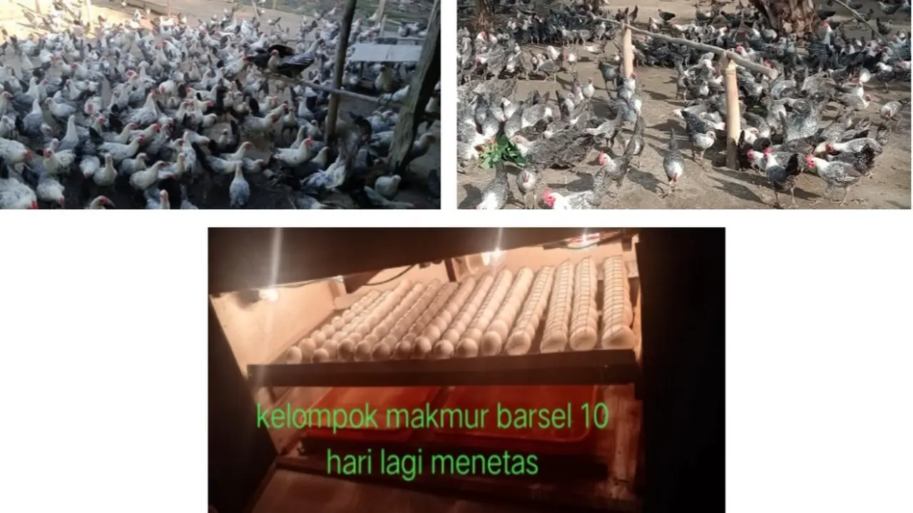 Kementan