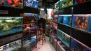 Seorang wanita bekerja di pasar ikan Mong Kok, distrik Kowloon di Hong Kong pada 10 November 2018. Tak hanya pengunjung lokal, turis mancanegara pun kerap datang ke Mong Kok Goldfish Market. (VIVEK PRAKASH/AFP)