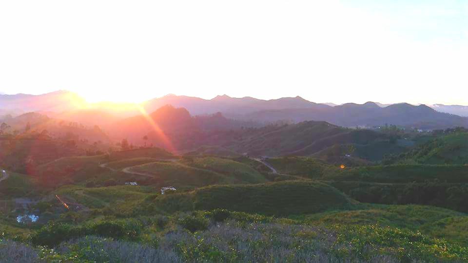 Matahari terbit di Malino High Land. Foto: (Fauzan/Liputan6.com)