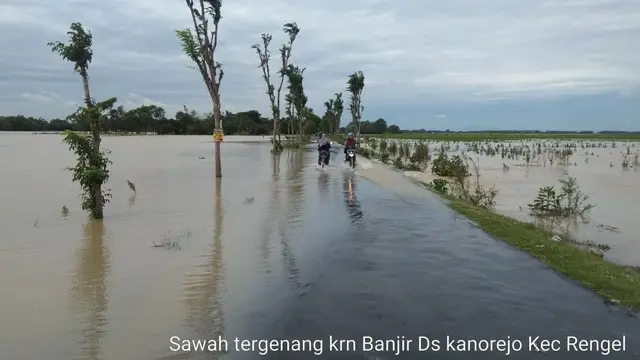 Kementan: Petani Wajib Tahu Cara Mendaftar AUTP