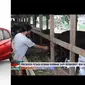Presiden Joko Widodo beli sapi kurban seharga mobil bekas Honda Brio. (sumber: tangkapan layar Liputan6 Pagi)