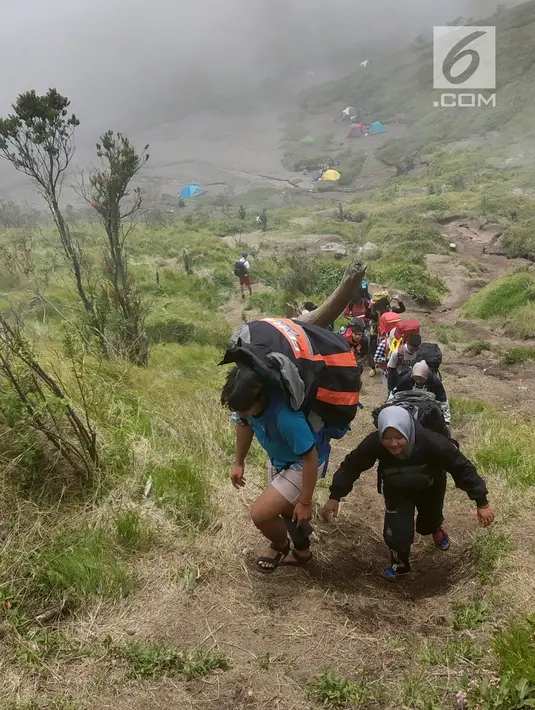 Pendaki mendaki Gunung Merbabu di Selo, Boyolali, Jawa Tengah, Minggu (3/2). Libur Imlek dimanfaatkan warga Jawa Tengah dan Jabotabek untuk mendaki Gunung Merbabu. (Merdeka.com/Arie Basuki)