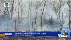 Fokus edisi (27/08) mengangkat berita-berita sebagai berikut, Dampak Kebakaran TPA Sarimukti, Sampah Menumpuk, Kebakaran Hutan dan Lahan, Agrowisata Petik Melon Langsung dari Pohon.