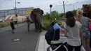 Sejumlah warga melihat seekor gajah yang tengah berjalan-jalan di sebuah jalan di Berlin, Jerman, Kamis (30/6). Gajah tersebut diajak pawangnya untuk berjalan-jalan menikmati udara segar. (REUTERS/Stefanie Loos)