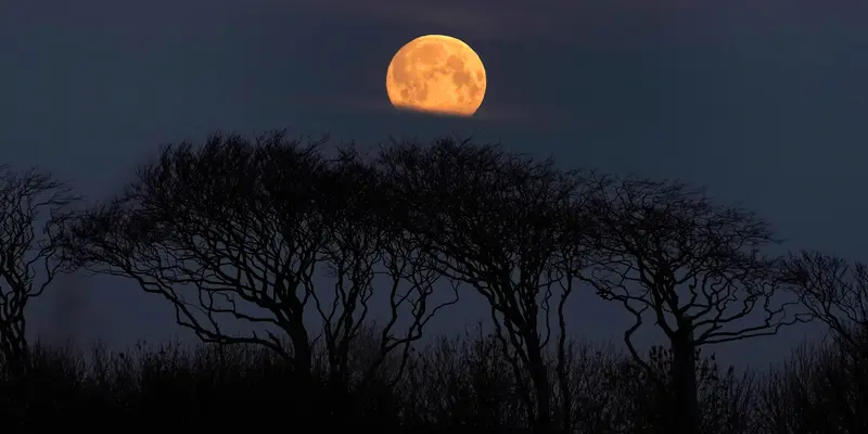 Melihat Penampakan Super Snow Moon di Berbagai Negara