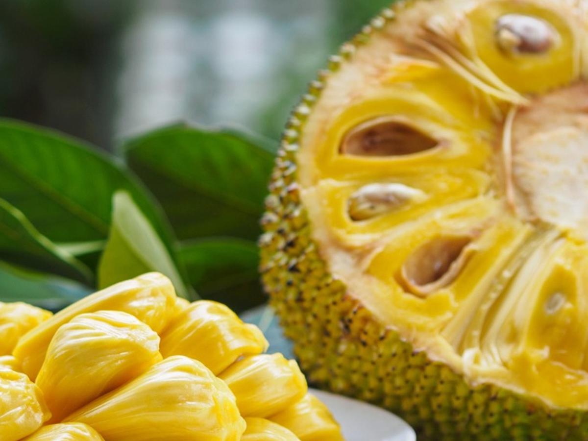 12 Arti Mimpi Buah Nangka, Mengandung Makna Baik - Ragam Bola.com