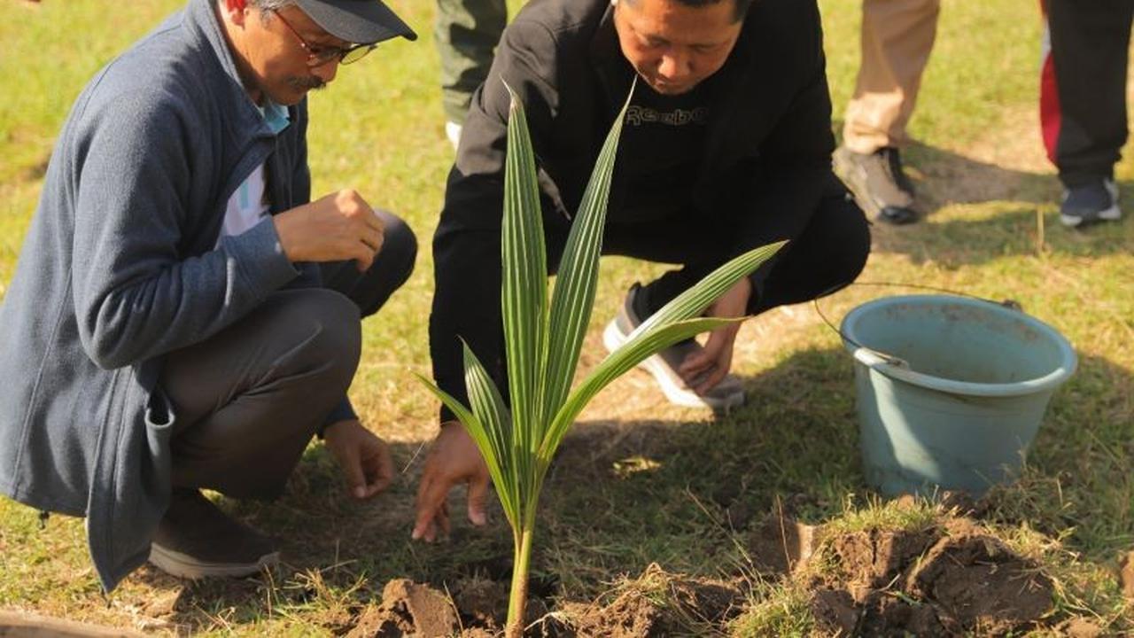 Trivia: 55 Bibit Kelapa Ditanam! IAHN Mpu Kuturan Singaraja Tanam Pohon untuk Lingkungan dan Ekoteologi