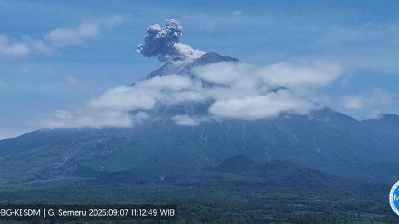 Fakta Unik: Gunung Semeru Erupsi Empat Kali Sehari, Letusan Capai 700 Meter!