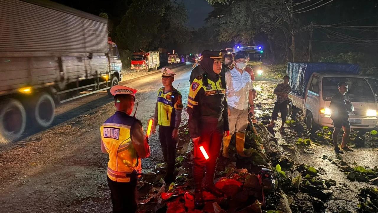 Viral 10 Kendaraan Tertimpa Pohon Jati Tumbang di Jalan Pantura Batang, Jalan Tertutup hingga Macet 6 Jam