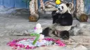 Panda raksasa bernama Gonggong menikmati makanan di Taman Margasatwa dan Kebun Raya Tropis Hainan di Haikou, Provinsi Hainan, China selatan, pada 27 Agustus 2020. Taman tersebut mengadakan perayaan ulang tahun ketujuh untuk dua panda raksasa pada Kamis (27/8). (Xinhua/Pu Xiaoxu)