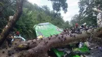 Sebuah mobil minibus ringsek, tertimpa pohon yang tumbang di Desa Solo, Kecamatan Boawae, Kabupaten Nagekeo, NTT.  (Foto Istimewah)