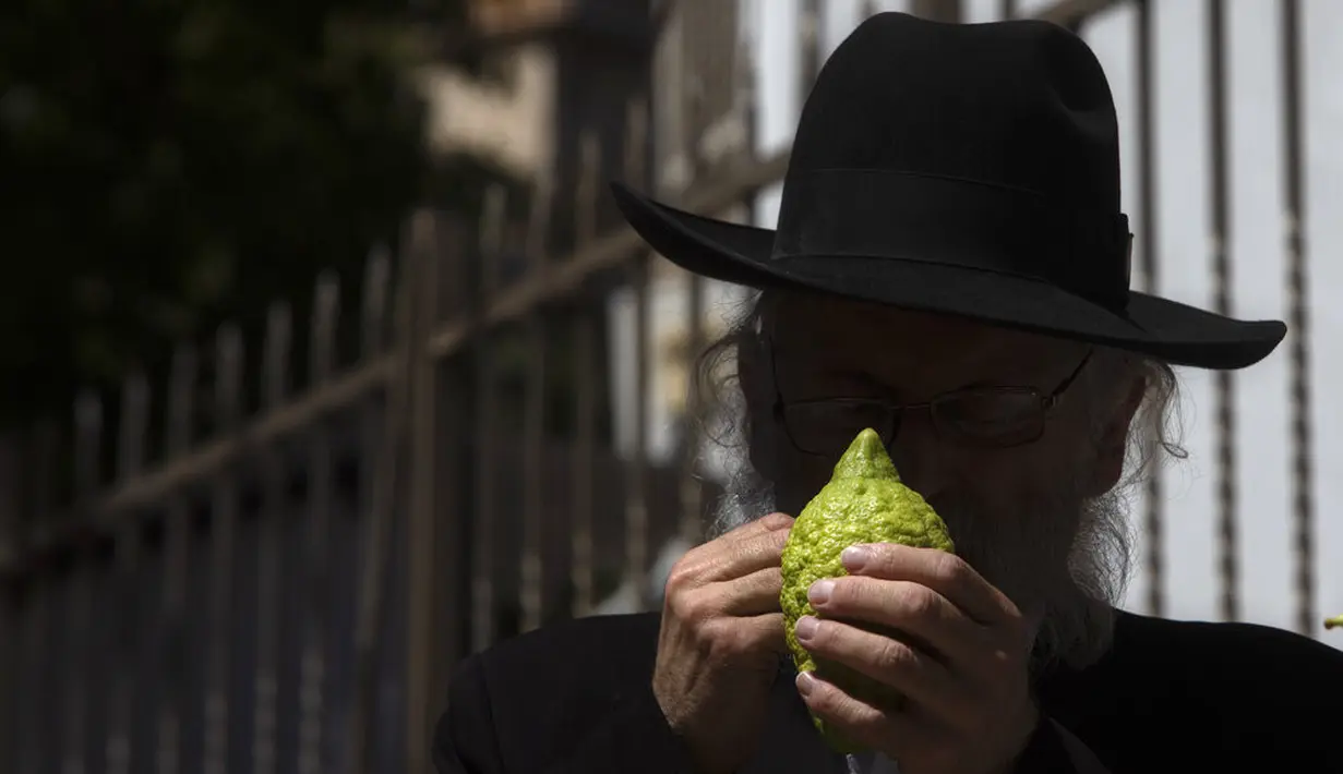 Pria Yahudi ultra-Ortodoks memeriksa etrog, buah jeruk seperti lemon, untuk noda untuk menentukan apakah dapat diterima secara ritual, sebelum membelinya sebagai sebagai simbol pada hari raya Yahudi Sukkot, di Yerusalem (19/9/2021). (AP Photo/Sebastian Scheiner)