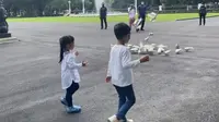 Cucu Jokowi, Jan Ethes dan Sedah Mirah bermain bersama puluhan burung dara di pelataran Istana Jakarta. (Instagram @jokowi)