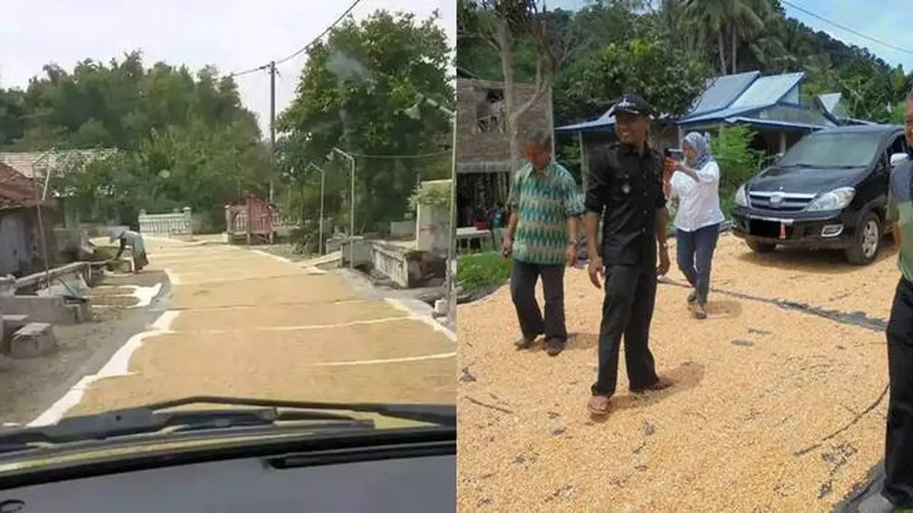 8 Potret Nyeleneh Orang Jemur Gabah dan Jagung di Jalan Ini Bikin Geleng Kepala