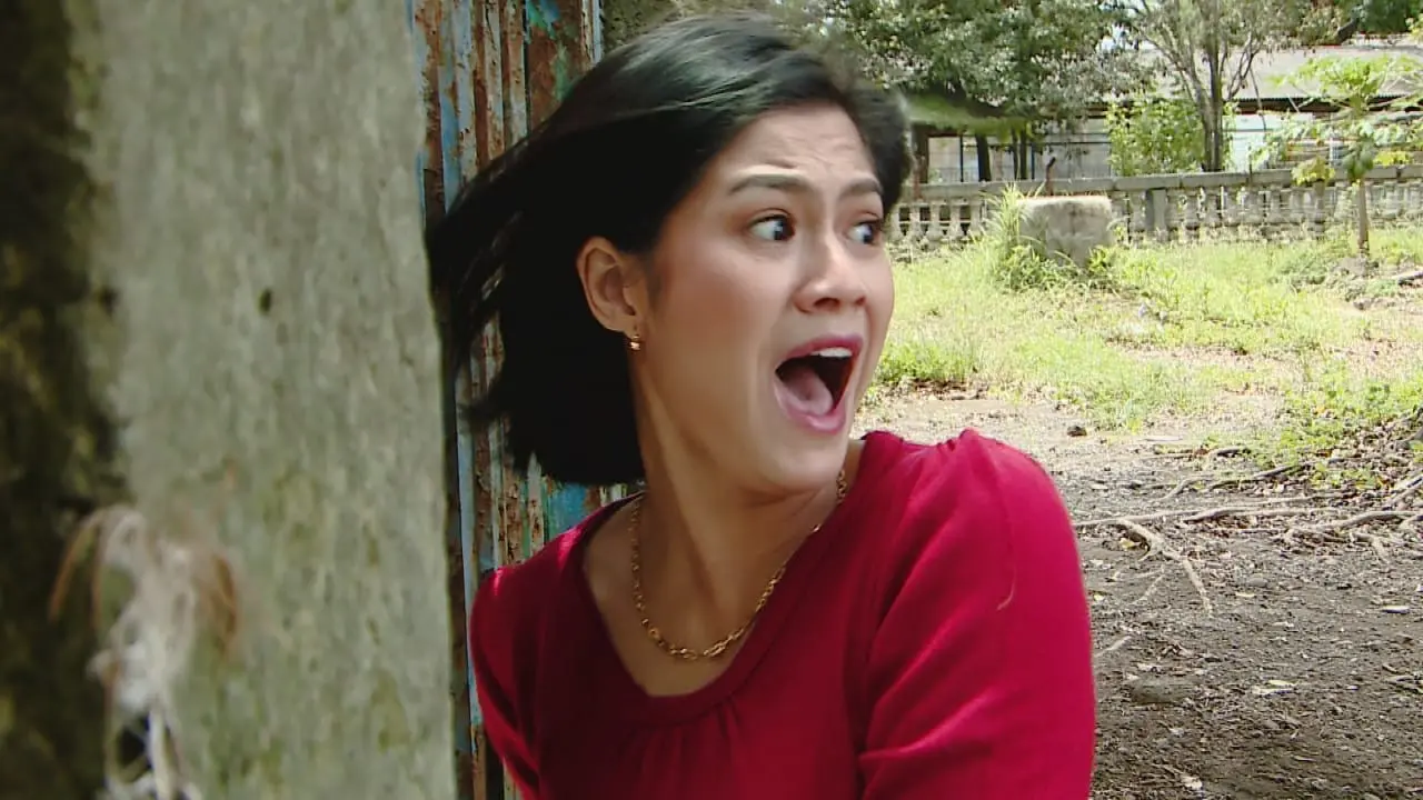 Buku Harian Seorang Istri