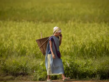 Seorang wanita etnis Khasi membawa keranjang bambu tradisional di punggungnya berbicara di ponselnya saat kembali ke rumah setelah bekerja di sawah di desa Umwang, di sepanjang perbatasan negara bagian Assam-Meghalaya, India, Rabu (27/10/2021). (AP Photo/Anupam Nath)