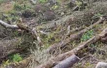 Was-Was Warga Cidahu, Hutan Gunung Salak Dibabat Atas Nama Pariwisata