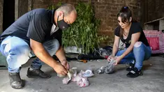 Polisi mengatur paket yang diduga berisi narkoba yang disita saat penggerebekan di kawasan kumuh Villa Puerta 8, Buenos Aires, Argentina, 2 Februari 2022. Lebih dari selusin orang tewas dan 50 lainnya di rawat di rumah sakit setelah mengonsumsi kokain palsu. (Eliana OBREGON/AFP)