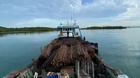 Seorang WNA Danai Penyelundupan 12 Ribu Kayu dari Hutan Lindung Batam ke Singapura