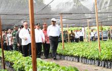 Fakta Unik: Mengapa Izin Benih Tanaman Kementan Diperketat? Demi Swasembada Pangan dan Lindungi dari Hama!