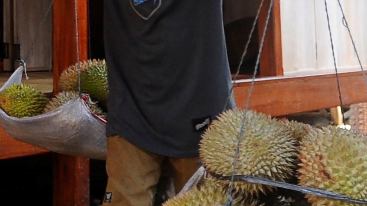 Musim buah durian telah membawa berkah pendapatan bagi warga Baduy di Lebak Banten. Foto: merdeka.com / Arie Basuki<br>