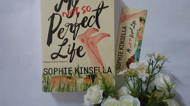 my not so perfect life 1