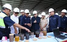 Danantara: Modernisasi Bisnis Sawit PalmCo Perkuat Kemandirian Pangan