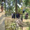 Konflik Lahan Sawit di Pesisir Barat, Begini Kronologinya