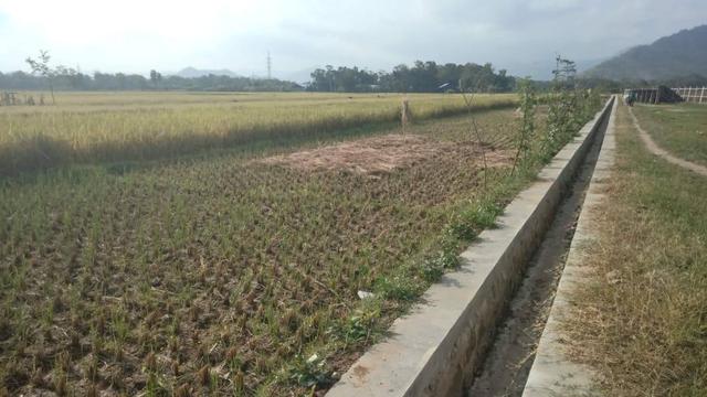 Rehabilitasi Jaringan Irigasi Tersier Bikin Lahan Seluas 50 Ha Di Trenggalek Terairi Bisnis Liputan6 Com