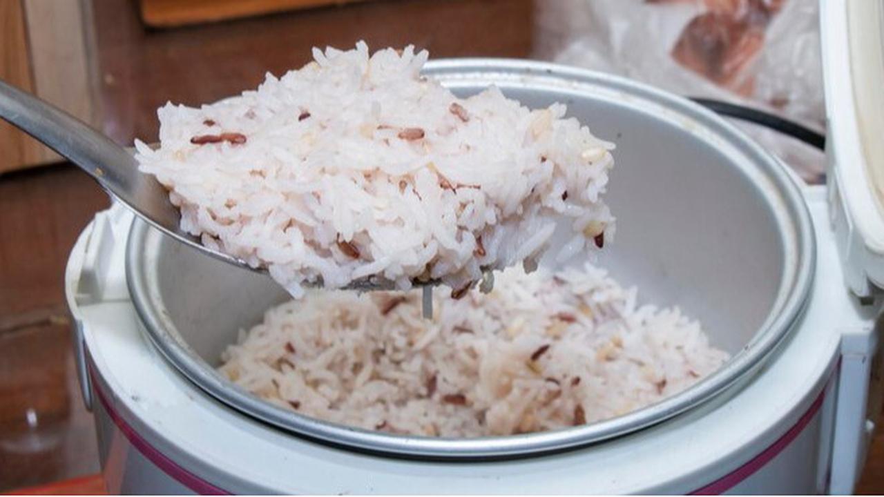 Begini Cara Menyimpan Nasi agar Tetap Pulen dan Tidak Cepat Basi