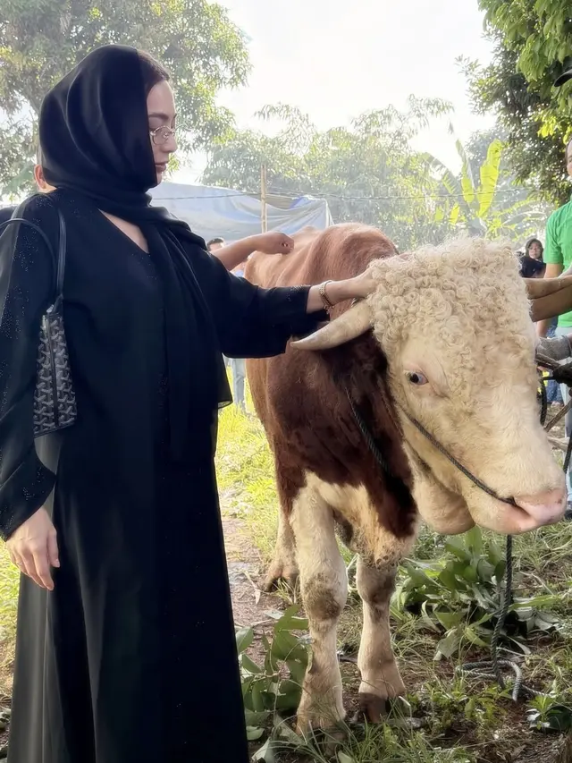 Wika Salim Berfoto Bersama Sapi Kurban. [ @wikasalim]