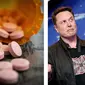Ilustrasi Wegovy, Obat Diabetes Produksi Novo Nordisk dari Denmark, yang Digunakan Elon Musk Sebagai Pil Diet untuk Menurunkan Berat Badan (Credit: unsplash.com/James) dan (Joe Raedle/Getty Images/AFP)