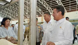 Target Tiga Pekan, Mentan Siap Gebuk Mafia Beras Fortifikasi