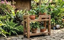 Cara Membuat Alas Pot dari Sisa Papan Kayu, Ide Kreatif untuk Percantik Tanaman