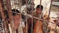 Mengenaskan, kedua bersaudara ini dibiarkan tinggal di kandang anjing oleh kakeknya