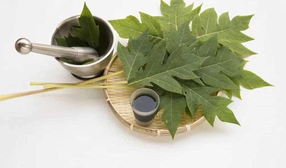 2. Gunakan Daun Pepaya