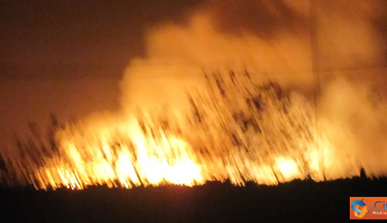 Ctizen6, Probolinggo: Kebakaran terjadi di pabrik kayu Kutai Timber Indonesia (KTI), Kamis malam (4/8). Hingga dini hari tadi, belum ada yang tahu penyebab terjadinya kebakaran, korban jiwa, ataupun besar kerugian yang ditanggung KTI.(Pengirim: Dhevina)